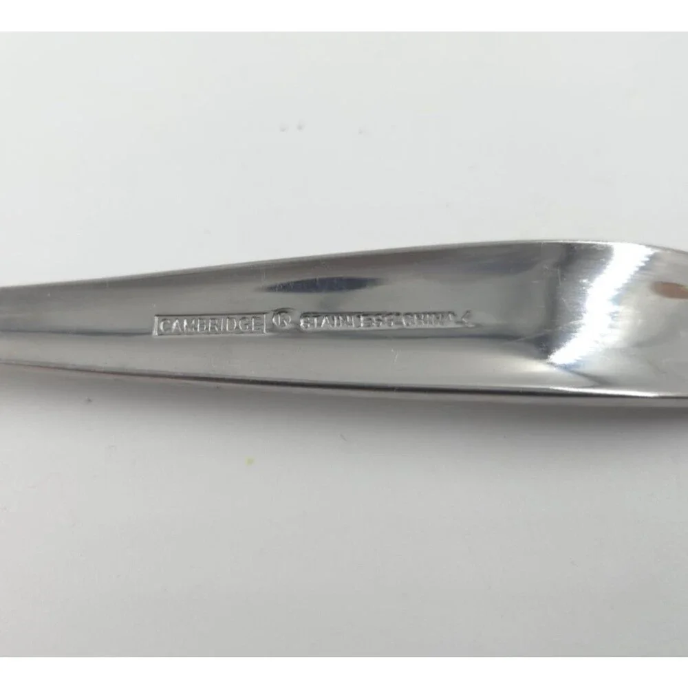 LOT OF 6 LG SPOONS  Cambridge Stainless Flatware - 7 1/2